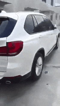 屎壳郎|搞笑GIF:屎壳郎:现在世界太干净了,想要弄这样一个球太难了