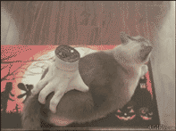 大爷|搞笑GIF动图：第一次见网友，他说他开车来的，结果……