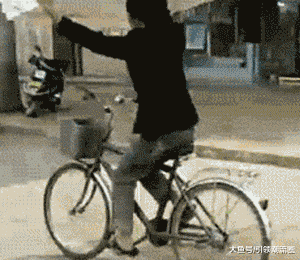 愚蠢|搞笑GIF: 猫：哼！果然是愚蠢的人类~