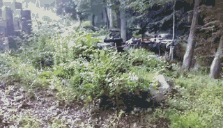 这是|搞笑GIF:哎呀我去,这么厉害,赌圣吗?