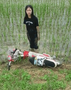 教练|搞笑GIF：有一个好教练真的是很重要啊！