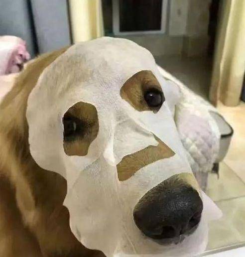 沙雕|爆笑GIF：哼！看什么看，我才干不出这样的沙雕事儿