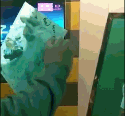 泥瓦工|搞笑动图:你给我吐出来!你怎么什么都吃呢