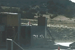 妹子|搞笑GIF：真是个吃货，都快下锅了还吃的这么香