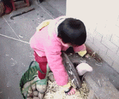 妹子|搞笑GIF：真是个吃货，都快下锅了还吃的这么香