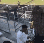 沙雕|爆笑GIF：哼！看什么看，我才干不出这样的沙雕事儿