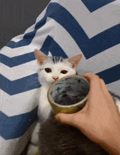 女孩|搞笑GIF趣图:小姐姐，我就夹了一块肉，你为何如此生气？