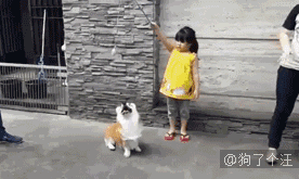 就是|爆笑一天,人家就是喜欢亲亲抱抱举高高 ,好妖娆的开球姿势