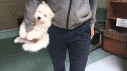 西门|搞笑GIF：哈金莲，你这是在等你的西门大官人吗？