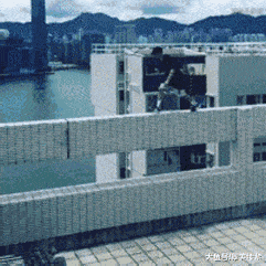 天气|GIF搞笑趣图: 天气太冷了,我只能躲在这里了