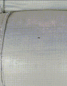 巧克力|搞笑GIF：热巧克力+白巧克力