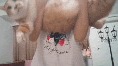 妹子|搞笑GIF：怎么样，你服不服我