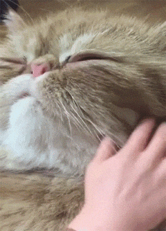 厉害|搞笑GIF:这个车不是一般的厉害