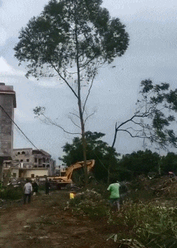 哥们|搞笑GIF：哥们，你这是在哪打球啊，我要和你比赛一场。