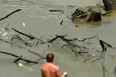 感觉|搞笑gif趣图:美女,这才是真正的技能,可以随意切换的一字马!