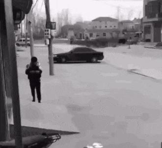 小狗|搞笑GIF：儿子说喜欢小狗，没办法弄了只，只有这一条件了