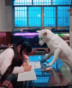 新鲜|搞笑趣图:妻子:你看我这鱼买的新鲜吧