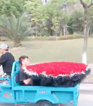 栗子|搞笑GIF趣图:兄弟,少买几朵花,多一些关爱不是更好吗?