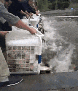 大叔|搞笑动态图GIF: 大叔我们是来给鱼放生的,不是让你下去游泳的。