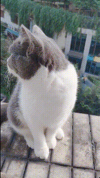 妹子|搞笑GIF：这媳妇头嚣张了，能不能给点面子，回家再吵