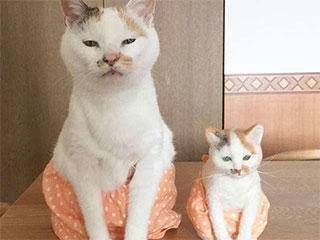 妹子|爆笑GIF图: 想搞事是吧,喝水去吧你