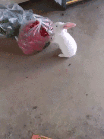 四川|爆笑GIF图:女儿说让我出去跟她练练,她是不是发现了什么?