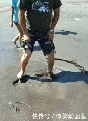 妹子|搞笑GIF趣图:这个车模应该是走后门进来的吧?