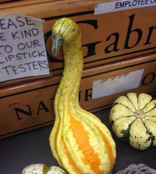 妹子|妹子, 结婚了还这么霸气, 就不怕被你男朋友看见吗?