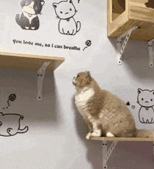 多人|搞笑GIF趣图：还是第一次见健身房里面有这么多人