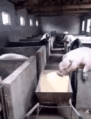 个人|哥们你开慢点！你没发觉后面掉下一个人吗？