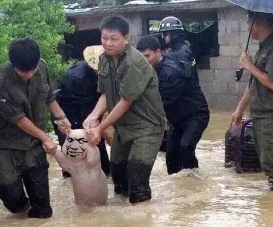 师兄|那只从台风中救出来的猪，被恶搞成表情包了