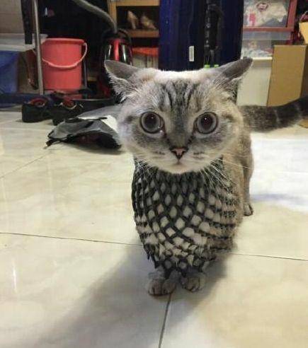 段子|爆笑gif图：姑娘，不就打个鼓嘛，至于漂亮成这样吗？