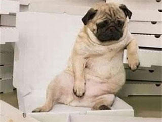 的哥|搞笑动态图GIF: 厉害了,我的哥,给你满分,别骄傲。