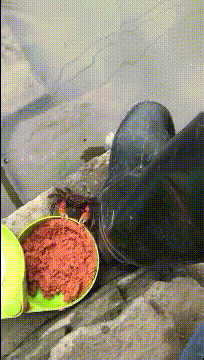 房车|搞笑GIF：大雪也照样能摧毁一切，不信仔细看