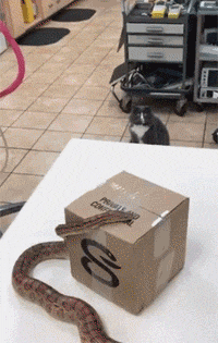 还是|搞笑GIF动图：车飞起来了 ! 从此不知道减速带为何物