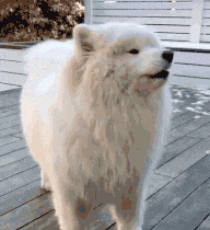 周末|搞笑GIF: 周末咯, 你准备好了么?