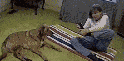 哥们|原创 搞笑GIF趣图：哥们，这真的是你的女朋友？