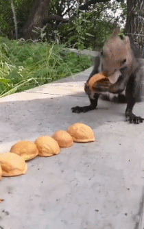 村长|搞笑gif趣图：这马学过凌波微步