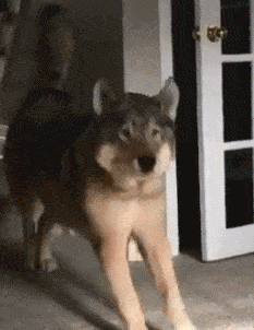 阿姨|搞笑GIF动图：大姐，你这个防雨装备根本就挡不了雨啊