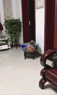 转圈圈|搞笑GIF动图：爱的魔力转圈圈，一圈又一圈