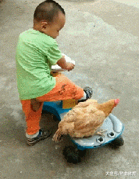 哈雷|内涵GIF：脚踏式哈雷，666