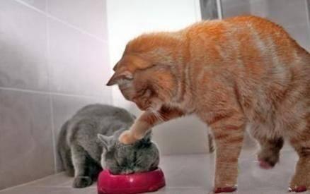 农民|龙弟弟搞笑段子:作为男人怎么能让女人在气势上压过自己!