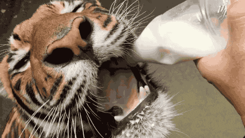 淋淋雨|搞笑GIF: 自从失恋后, 每个雨夜我都会出来淋淋雨