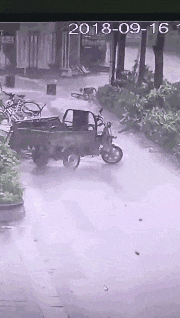 下雪天|搞笑GIF：聪明的宝宝，这样真的可以搬动了吗