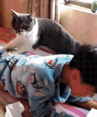 耙子|搞笑GIF:化了妆自己孩子不认识了 。。。