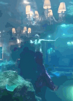 车速|搞笑动态图Gif:外国人真的很作，没掉下来，有点失望