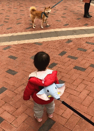 妹子|搞笑GIF：妹子，喝完这杯还有三杯！