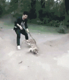 还是|搞笑GIF：还是如此的冷漠