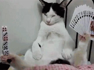 哆啦|搞笑动态图GIF: 哆啦a梦马上要起飞了。