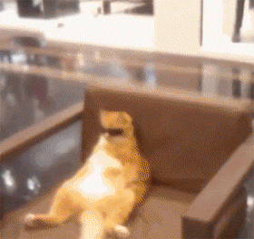 还是|搞笑GIF趣图：妹子，你到底是冲浪呢，还是太浪呢